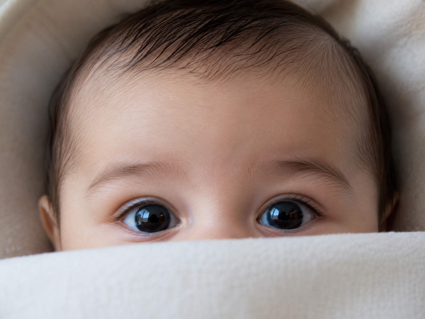 Retinopathy of Prematurity (ROP)